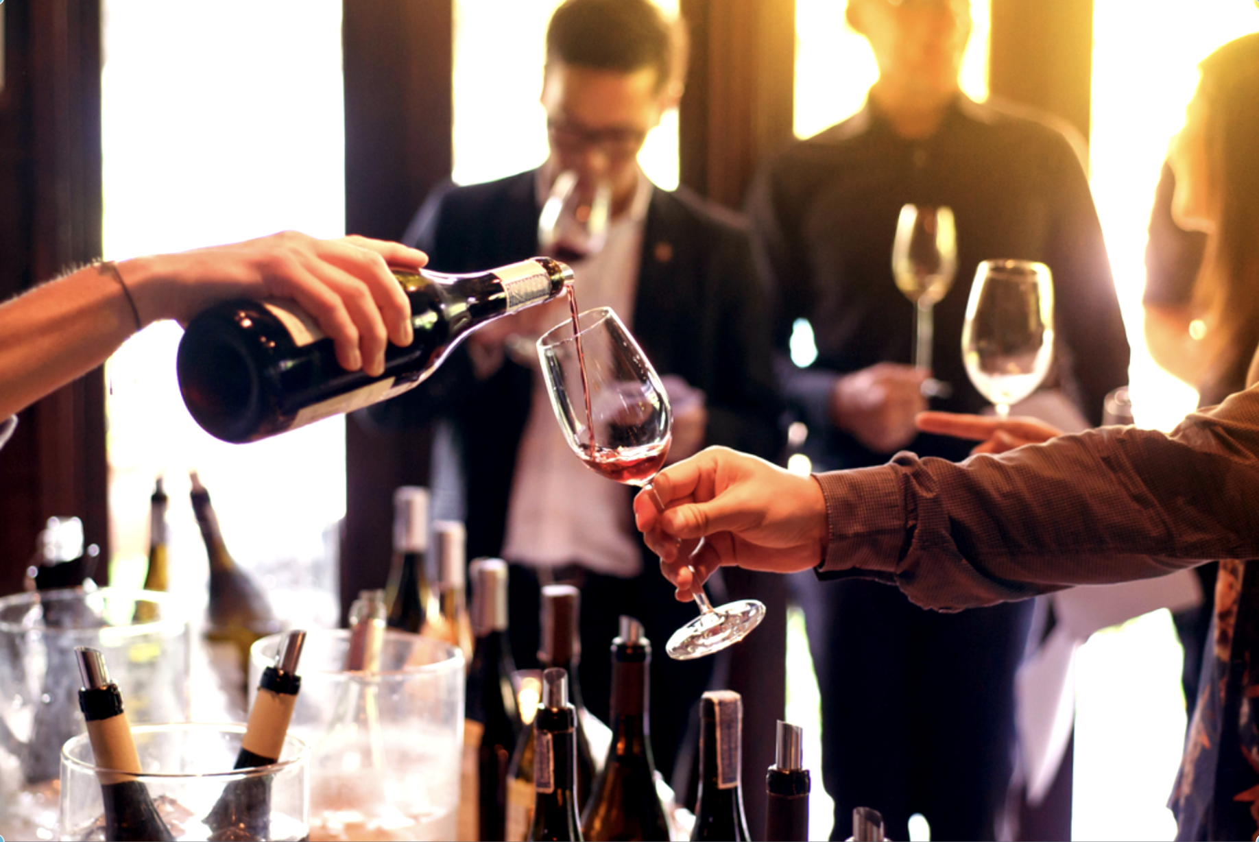 Savoring Elegance: A Comprehensive Guide to the Art of Wine Tasting